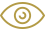 icon-vision